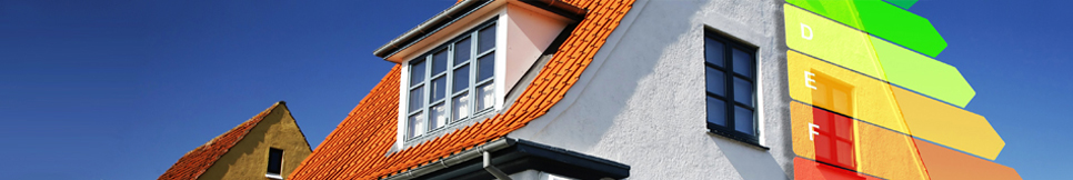 Banner - Ralf Brauner