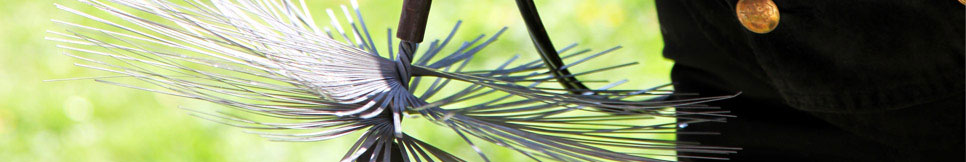 Banner - Ralf Brauner